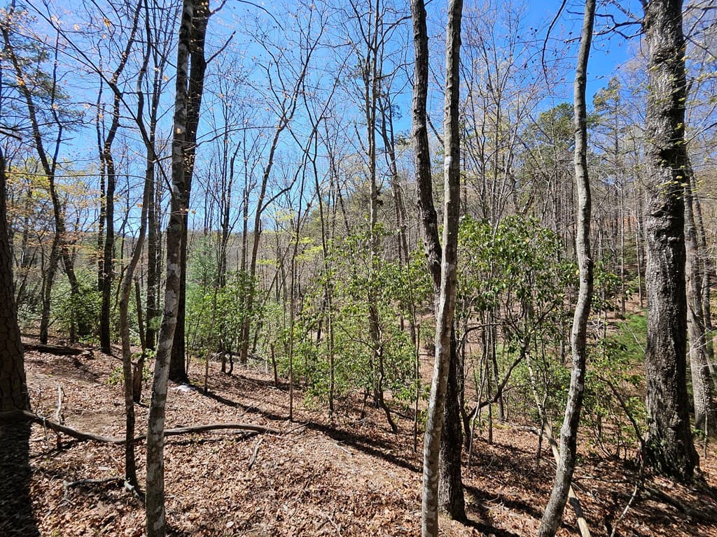 5.2 Deer Crest Road, Blue Ridge GA 30513 - Photo