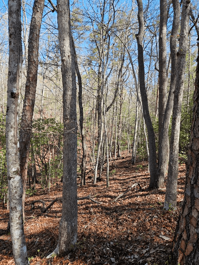 5.2 Deer Crest Road, Blue Ridge GA 30513 - Photo