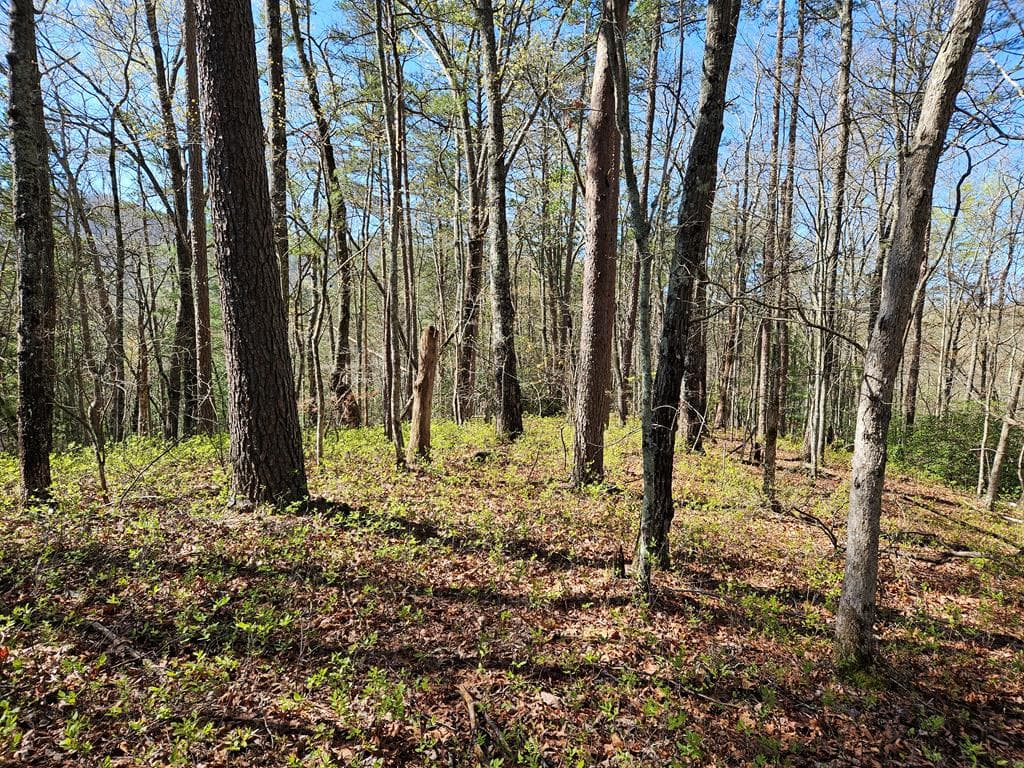 5.2 Deer Crest Road, Blue Ridge GA 30513 - Photo