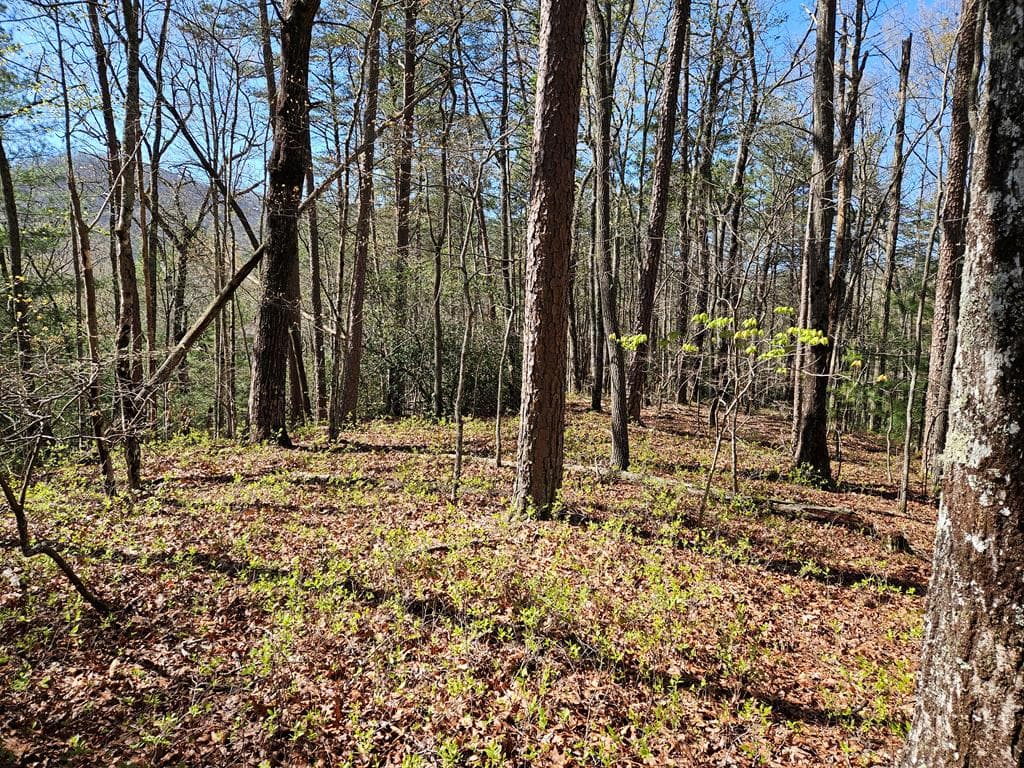 5.2 Deer Crest Road, Blue Ridge GA 30513 - Photo