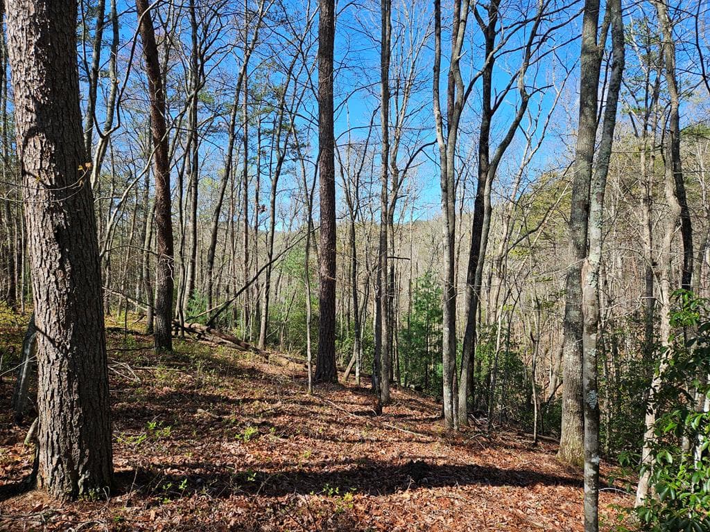 5.2 Deer Crest Road, Blue Ridge GA 30513 - Photo