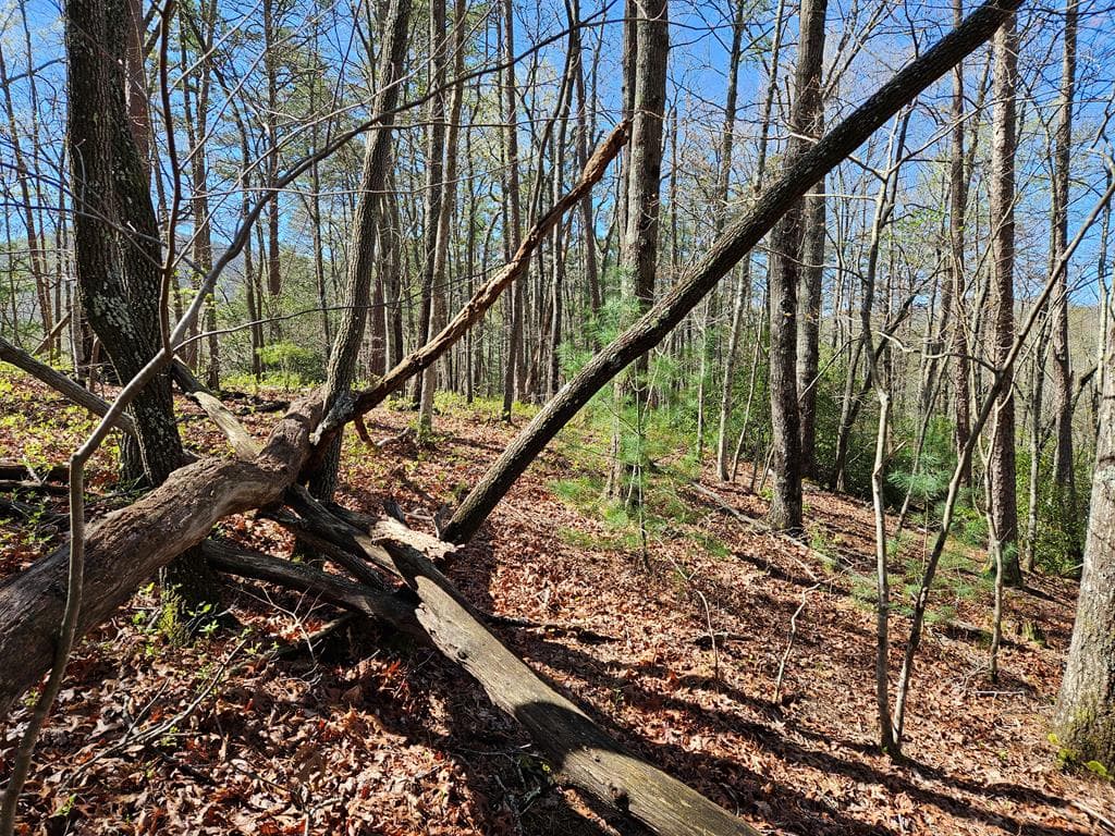 5.2 Deer Crest Road, Blue Ridge GA 30513 - Photo