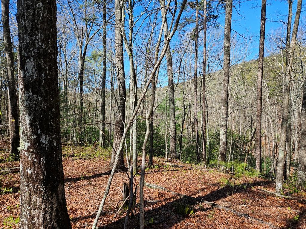 5.2 Deer Crest Road, Blue Ridge GA 30513 - Photo