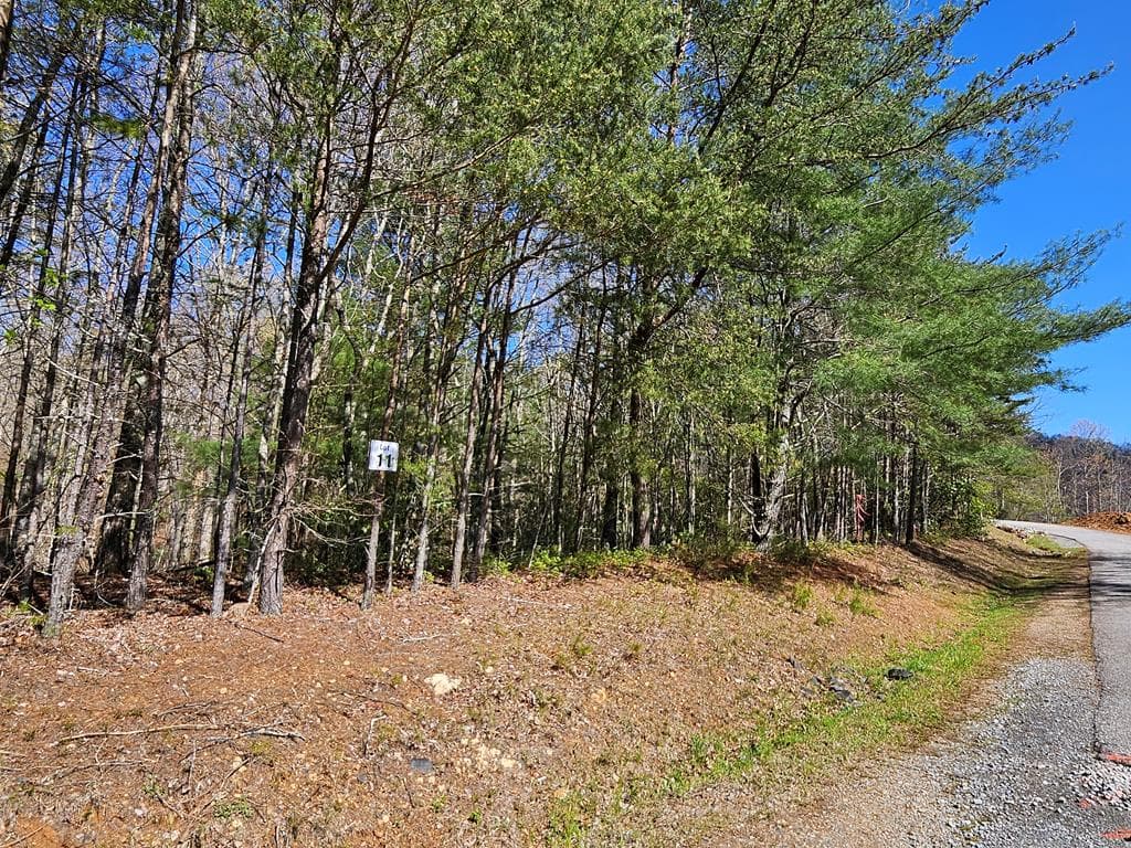 5.2 Deer Crest Road, Blue Ridge GA 30513 - Photo