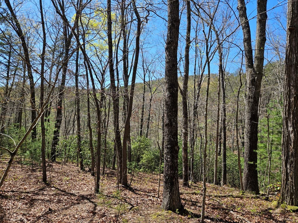 5.2 Deer Crest Road, Blue Ridge GA 30513 - Photo
