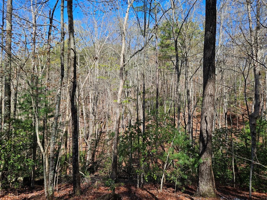 5.2 Deer Crest Road, Blue Ridge GA 30513 - Photo