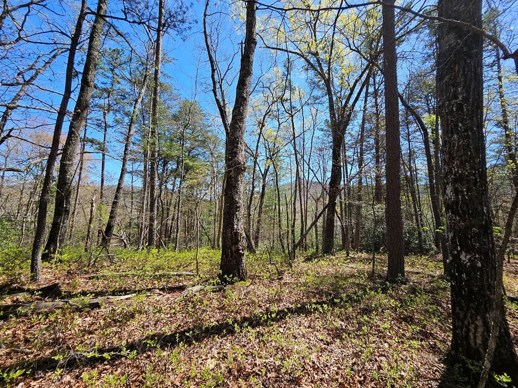 5.2 Deer Crest Road, Blue Ridge GA 30513 - Photo