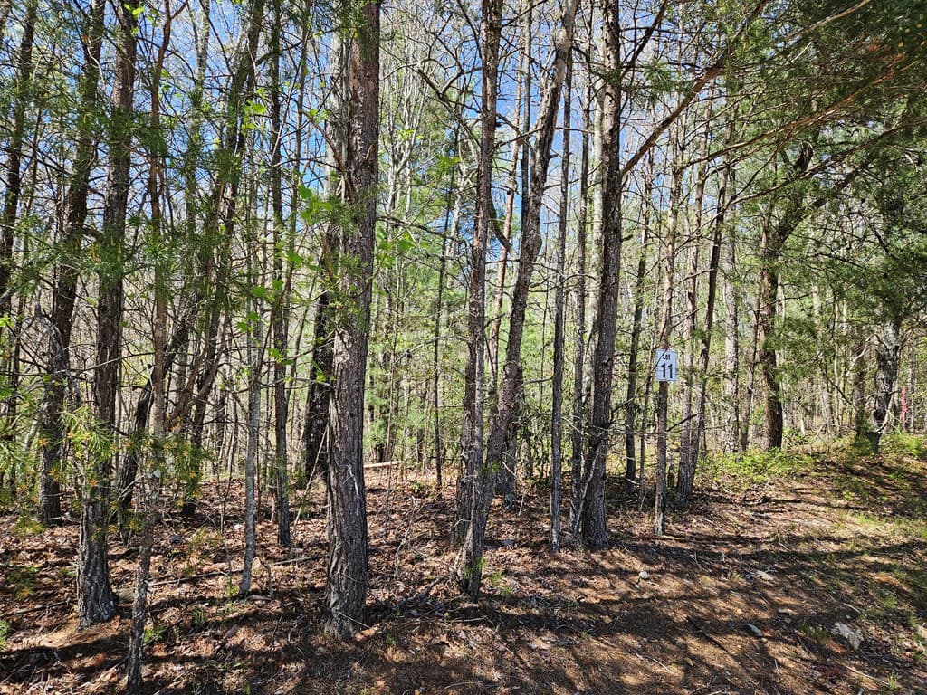 5.2 Deer Crest Road, Blue Ridge GA 30513 - Photo