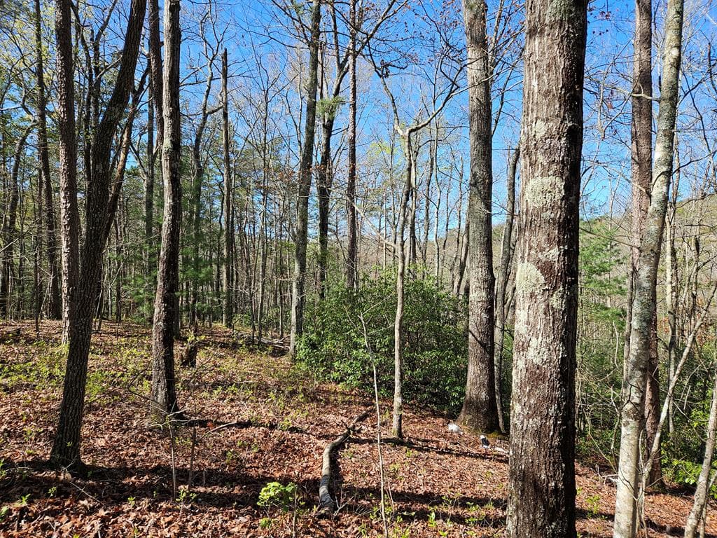 5.2 Deer Crest Road, Blue Ridge GA 30513 - Photo