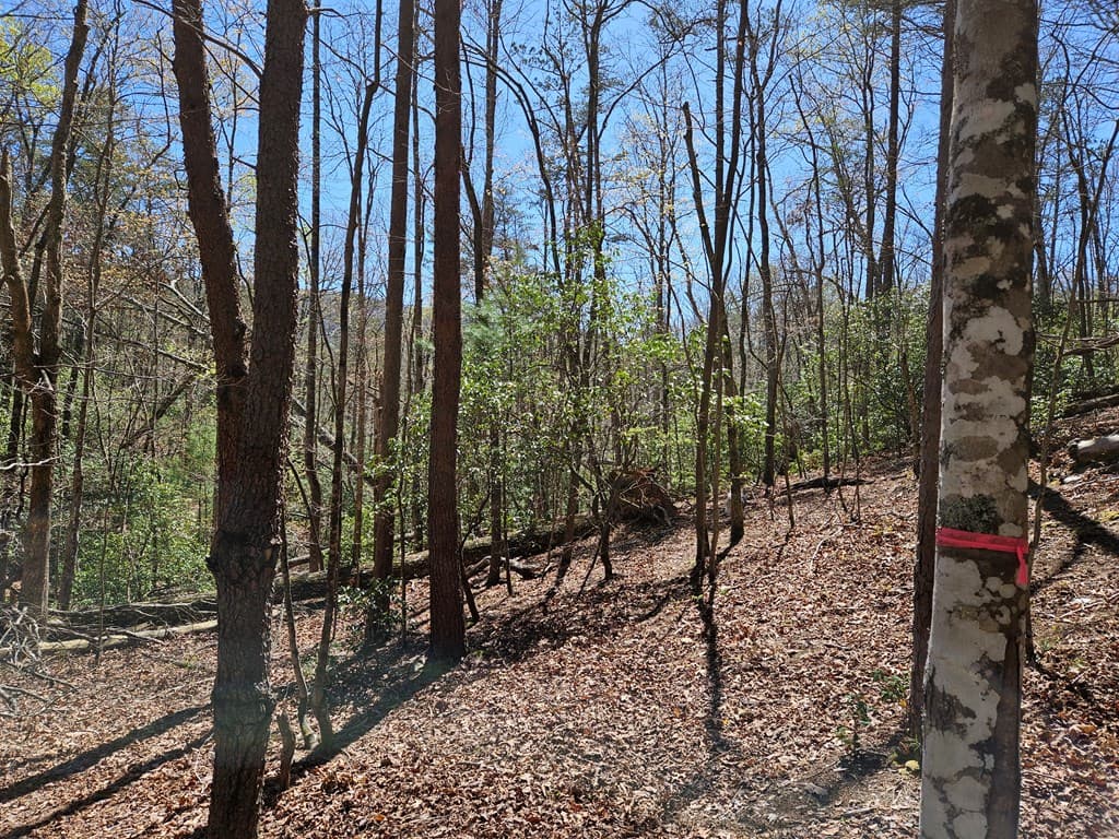 5.2 Deer Crest Road, Blue Ridge GA 30513 - Photo
