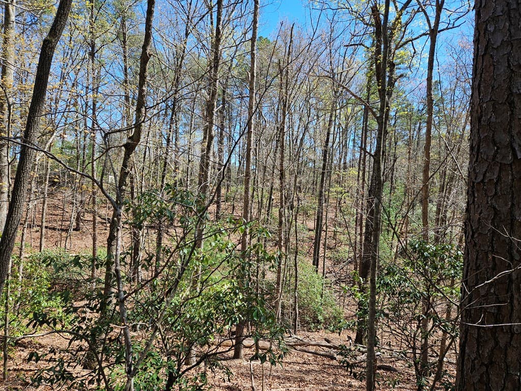5.2 Deer Crest Road, Blue Ridge GA 30513 - Photo