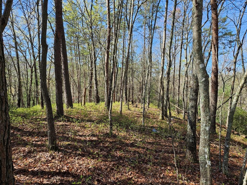 5.2 Deer Crest Road, Blue Ridge GA 30513 - Photo