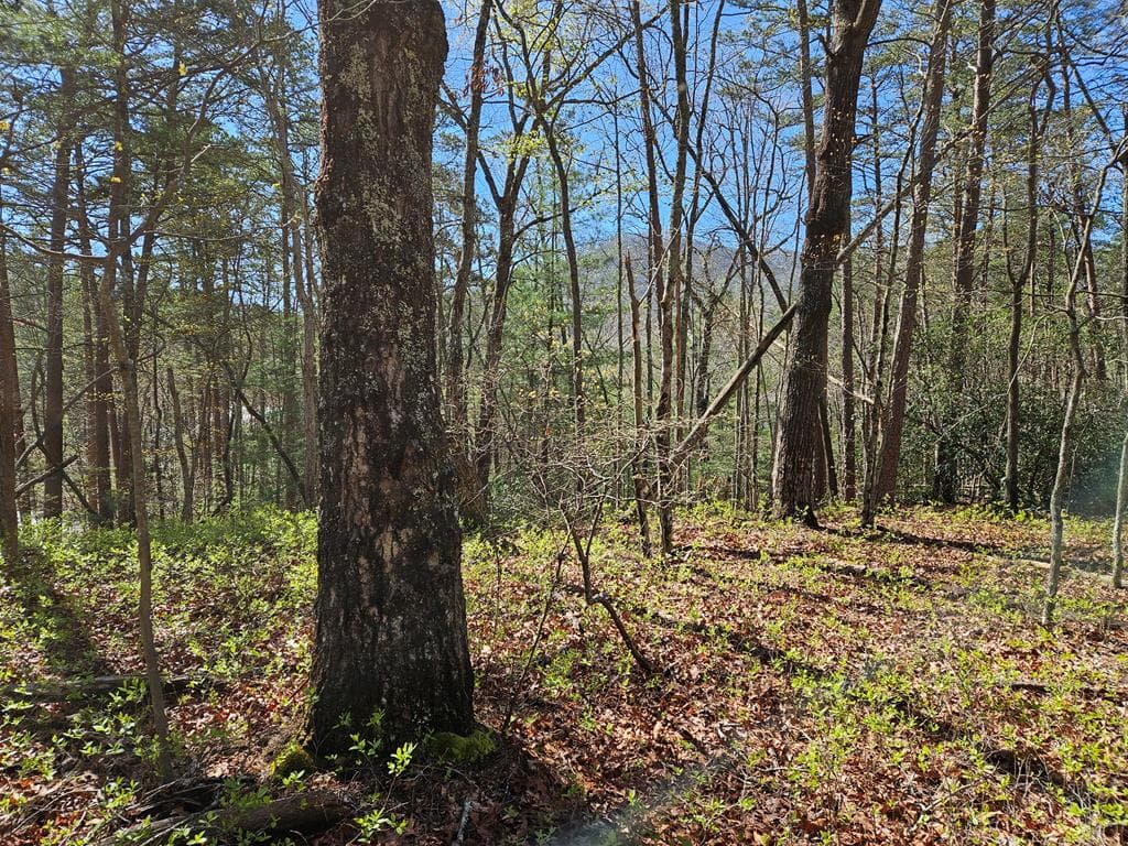 5.2 Deer Crest Road, Blue Ridge GA 30513 - Photo