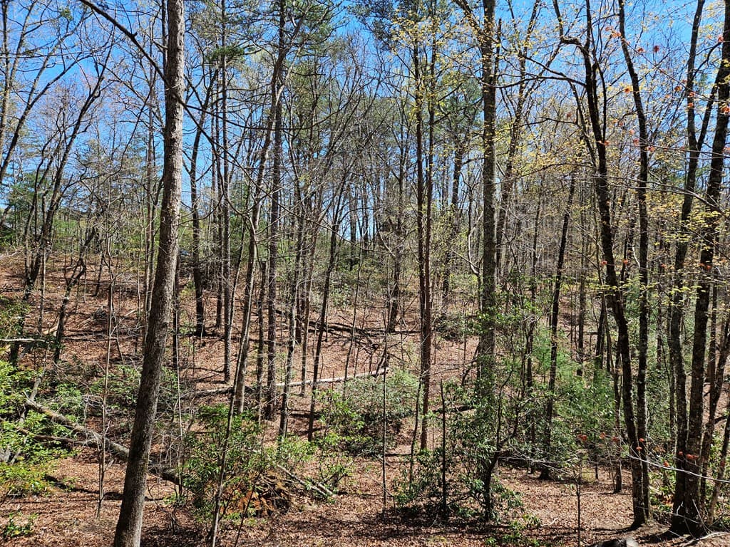5.2 Deer Crest Road, Blue Ridge GA 30513 - Photo