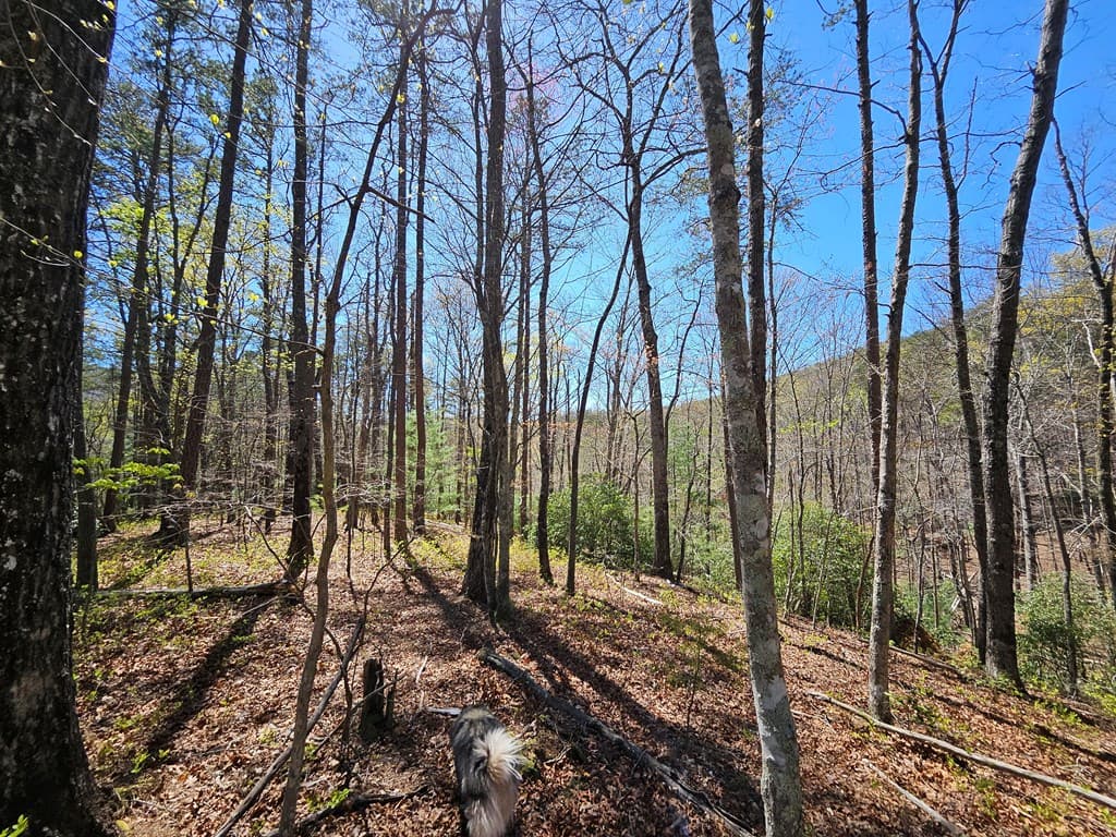5.2 Deer Crest Road, Blue Ridge GA 30513 - Photo