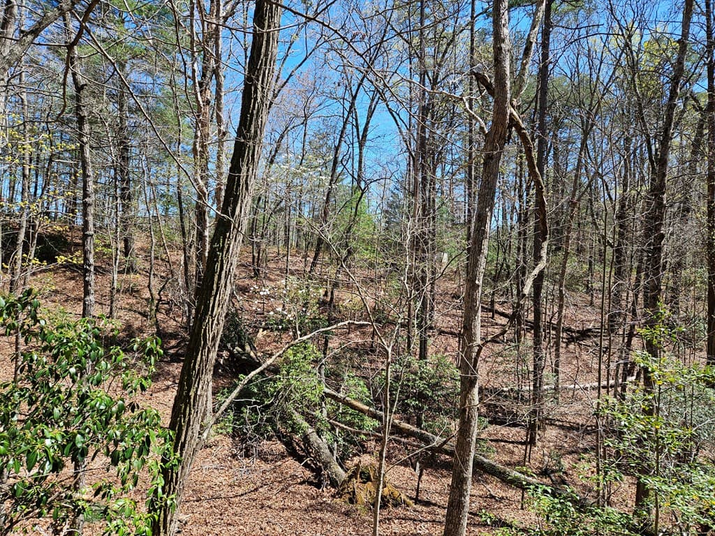 5.2 Deer Crest Road, Blue Ridge GA 30513 - Photo
