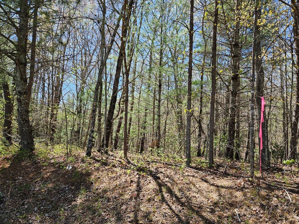 5.2 Deer Crest Road, Blue Ridge GA 30513 - Photo