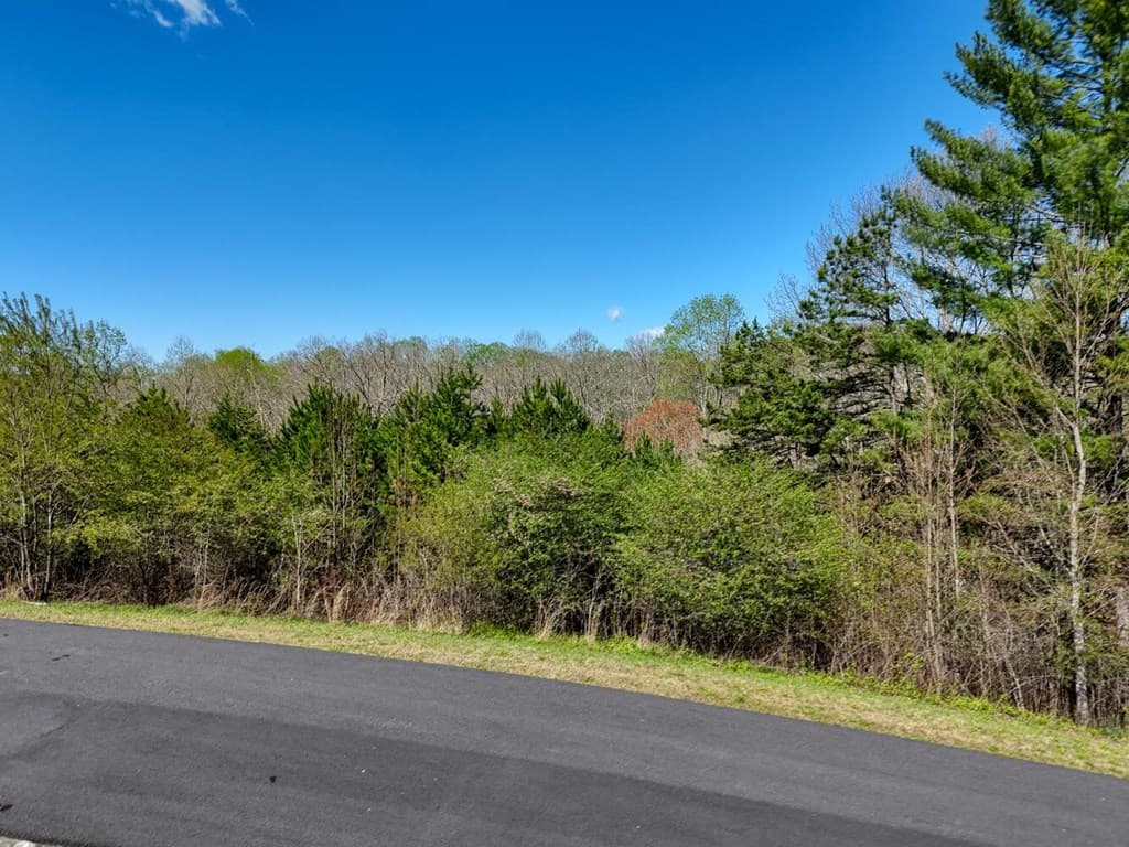 Lot 44 Owen Vista, Blairsville GA 30512 - Photo
