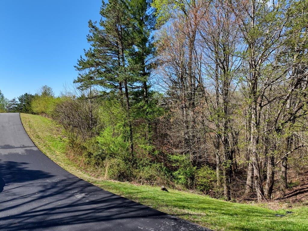 Lot 44 Owen Vista, Blairsville GA 30512 - Photo