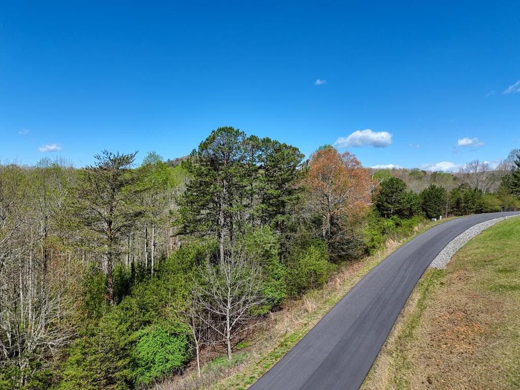 Lot 44 Owen Vista, Blairsville GA 30512 - Primary photo
