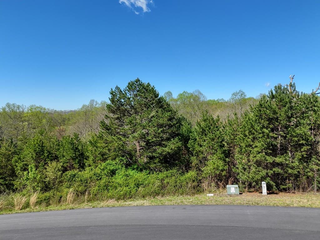 Lot 44 Owen Vista, Blairsville GA 30512 - Photo