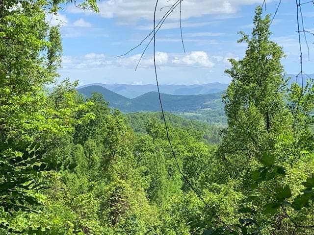 Lot 3 Morgan Ridge Drive, Young Harris GA 30582 - Primary photo