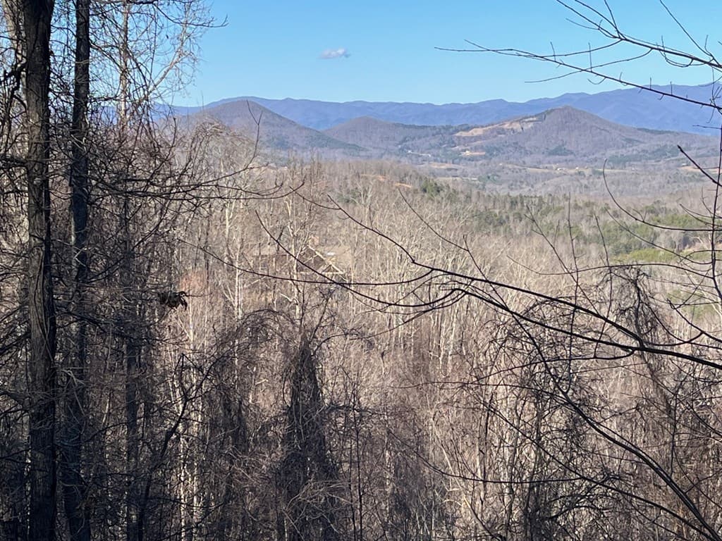 Lot 3 Morgan Ridge Drive, Young Harris GA 30582 - Photo