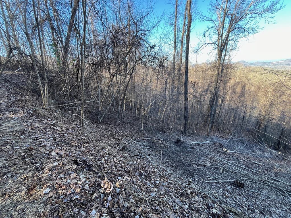 Lot 3 Morgan Ridge Drive, Young Harris GA 30582 - Photo