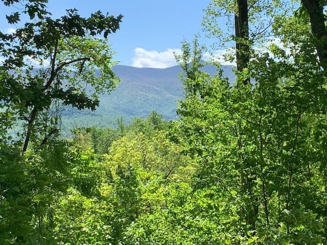 Lot 4 Morgan Ridge Drive, Young Harris GA 30582 - Photo