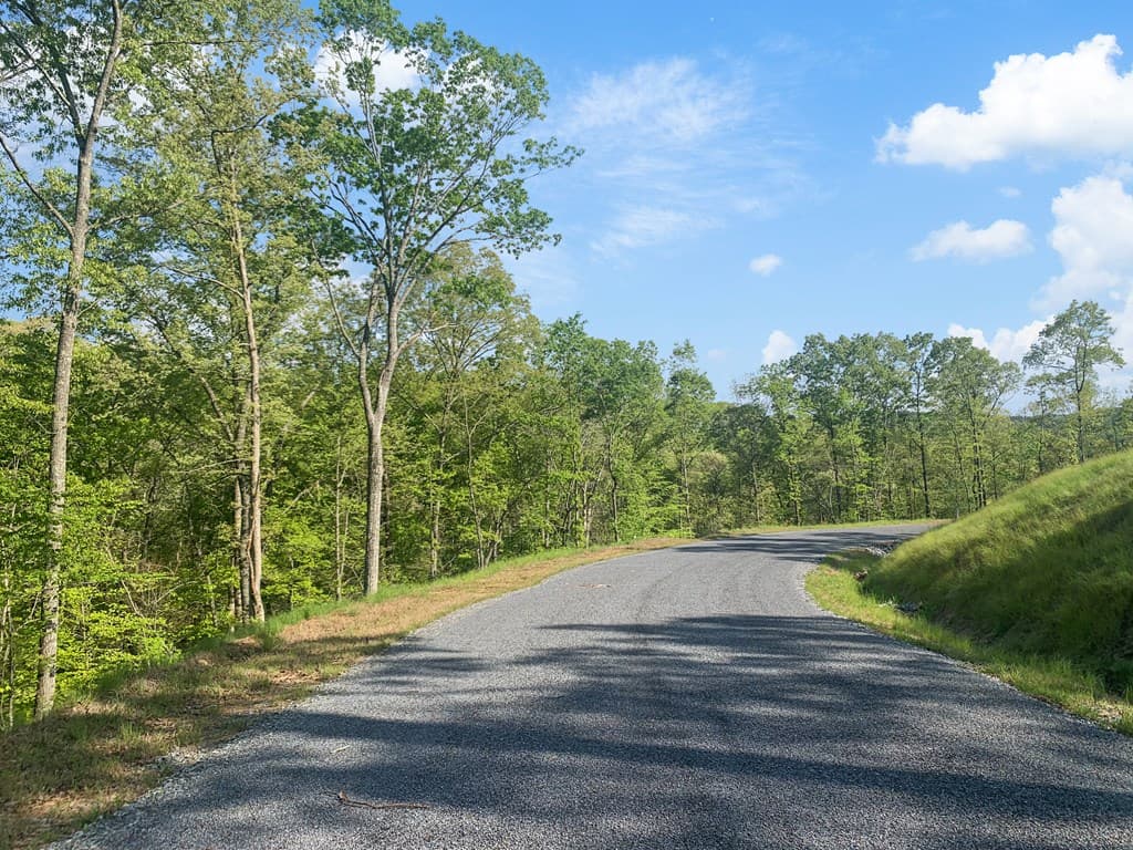 Lot 274 Canoe Way, Talking Rock GA 30175 - Photo