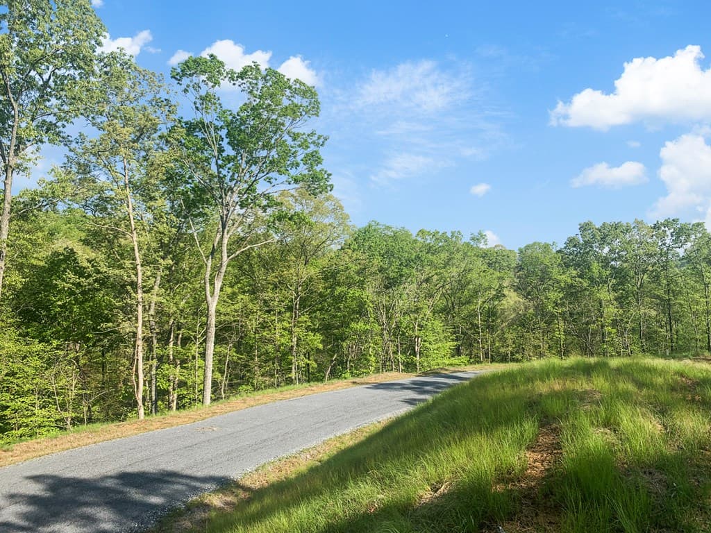 Lot 274 Canoe Way, Talking Rock GA 30175 - Photo