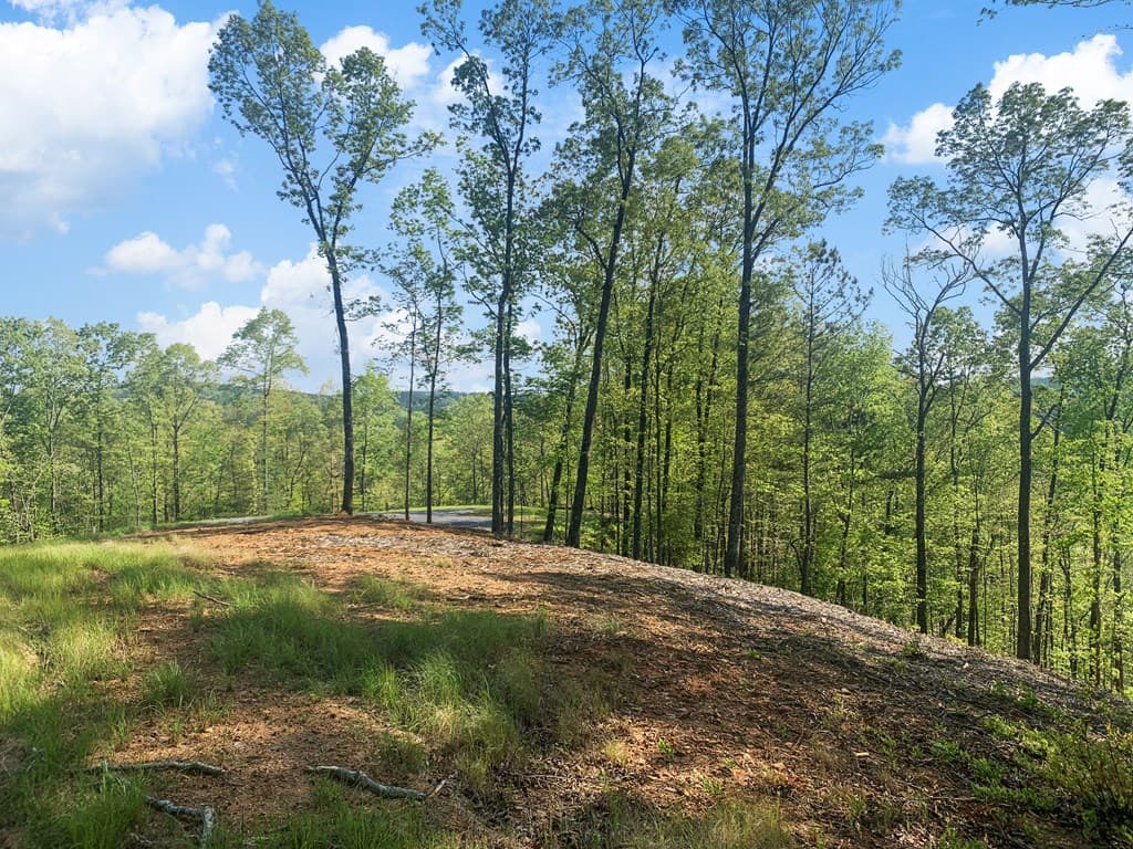 Lot 274 Canoe Way, Talking Rock GA 30175 - Photo