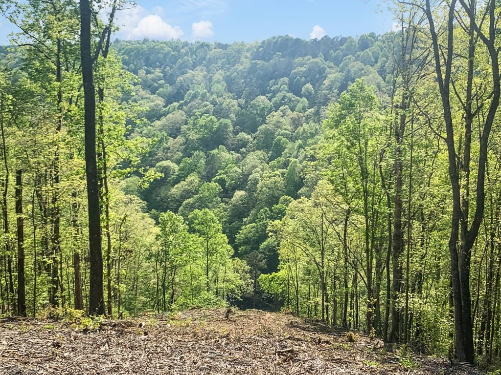 Lot 274 Canoe Way, Talking Rock GA 30175 - Photo