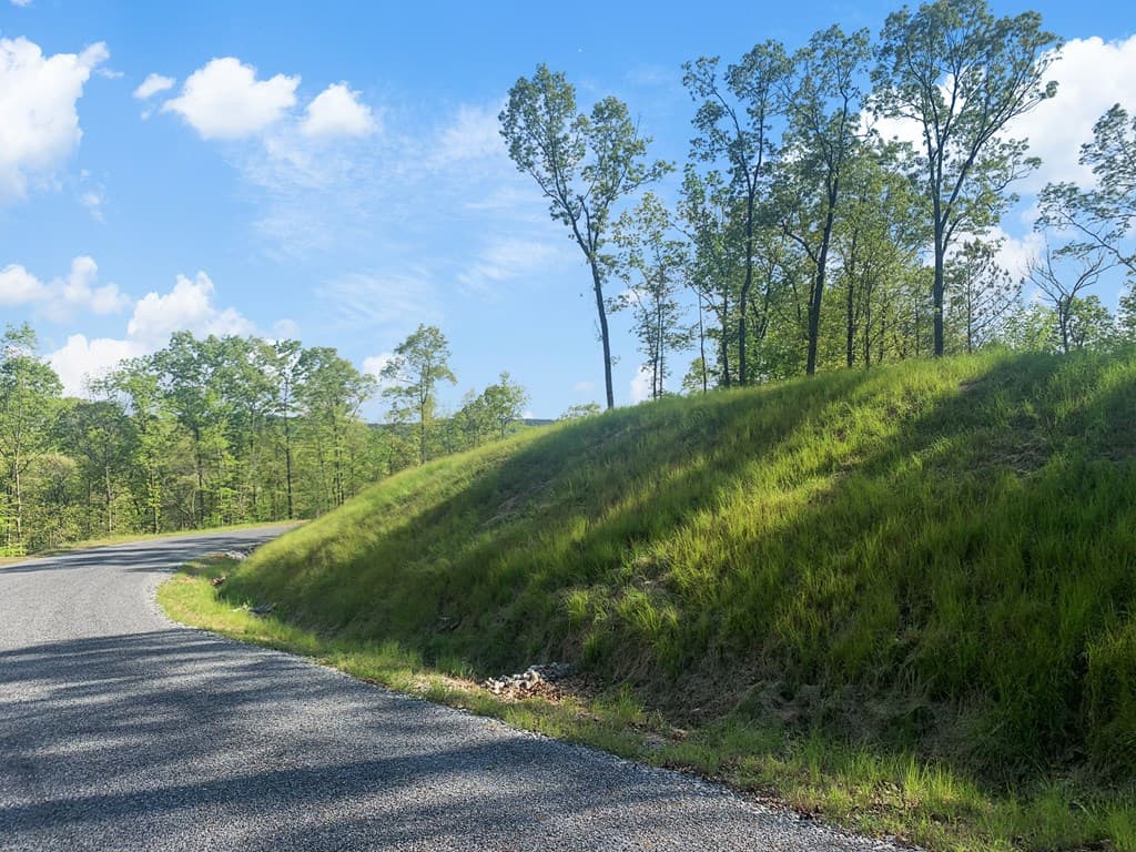 Lot 274 Canoe Way, Talking Rock GA 30175 - Photo