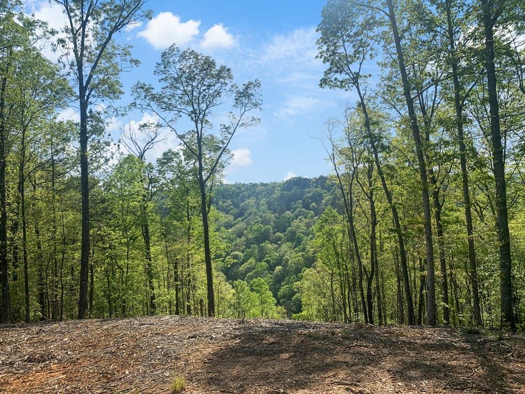 Lot 274 Canoe Way, Talking Rock GA 30175 - Photo
