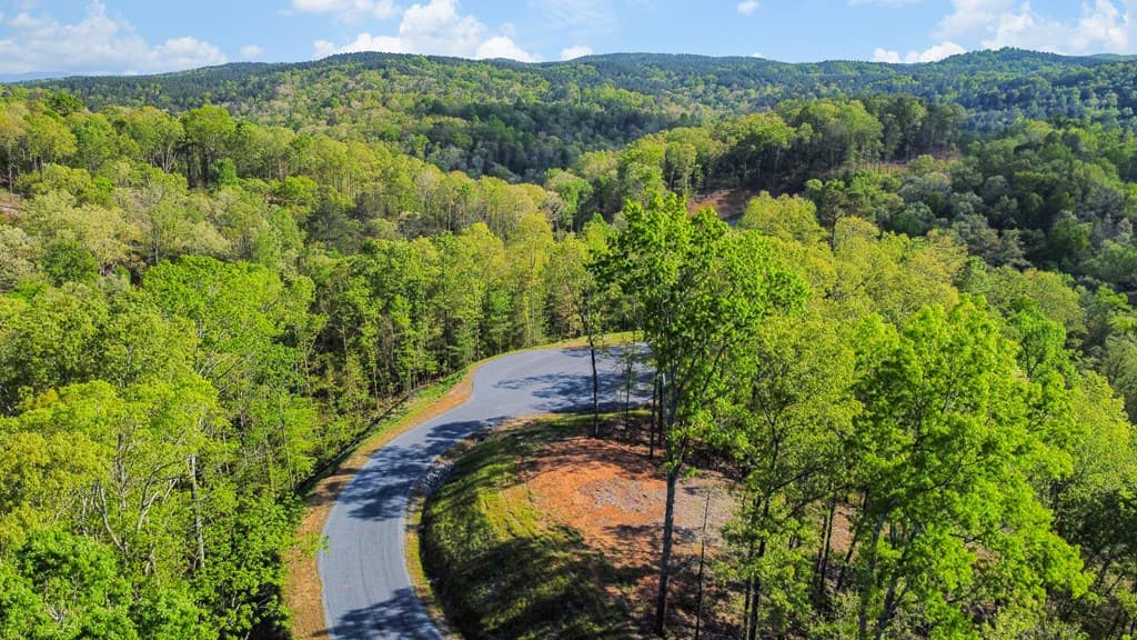 Lot 274 Canoe Way, Talking Rock GA 30175 - Photo