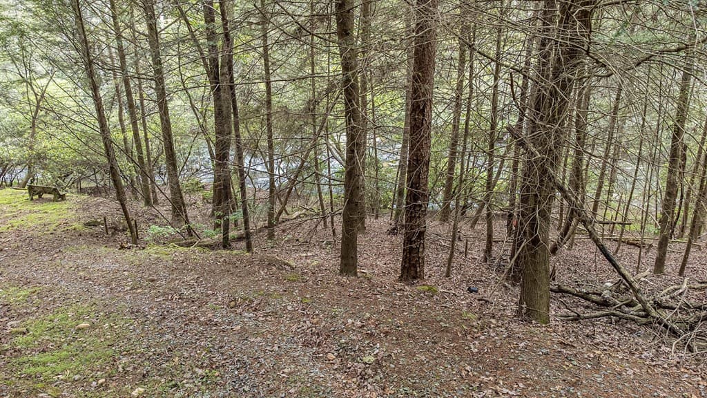 LOT 48 Indian Cave Road, Ellijay GA 30536 - Photo