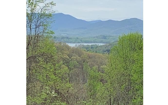 LT 10 High Meadows, Hayesville NC 28904 - Photo