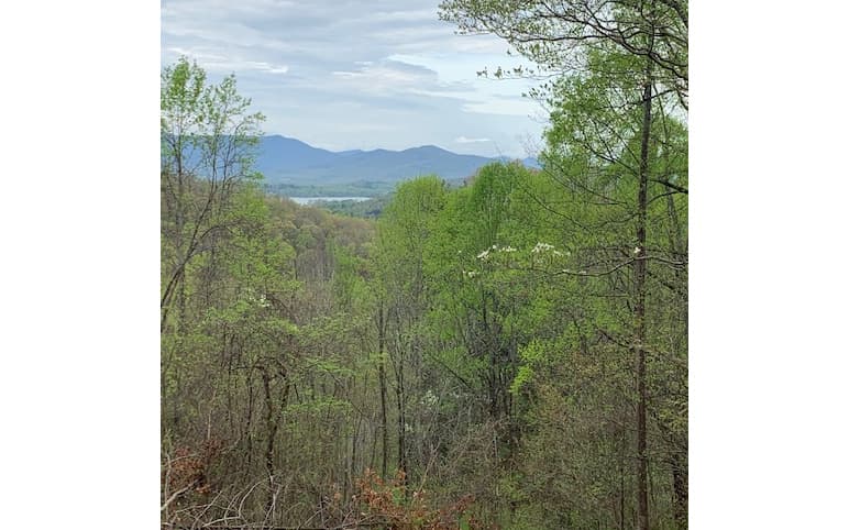 LT 10 High Meadows, Hayesville NC 28904 - Photo