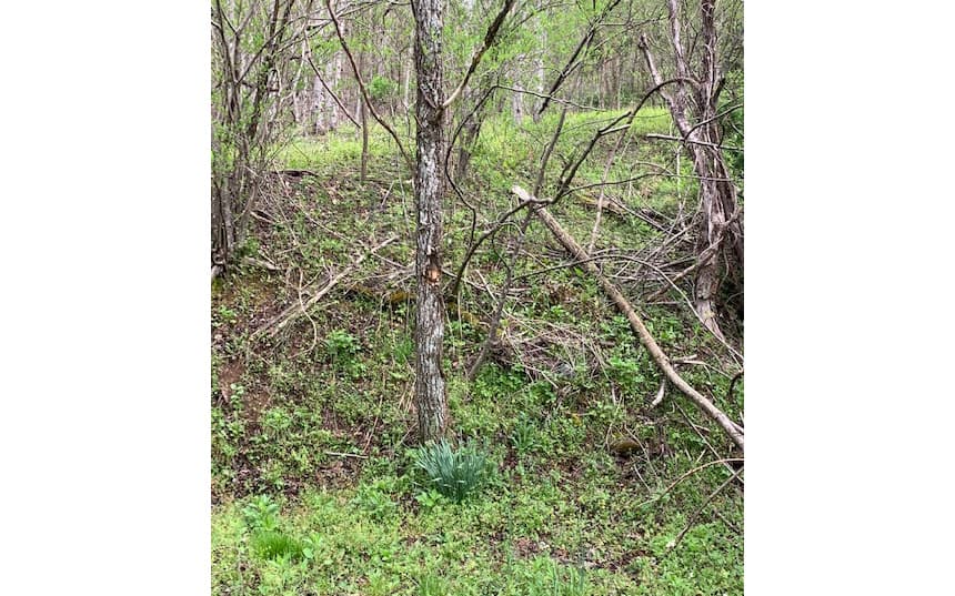 LT 10 High Meadows, Hayesville NC 28904 - Photo