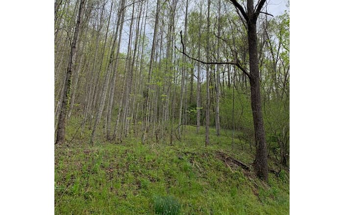 LT 10 High Meadows, Hayesville NC 28904 - Photo