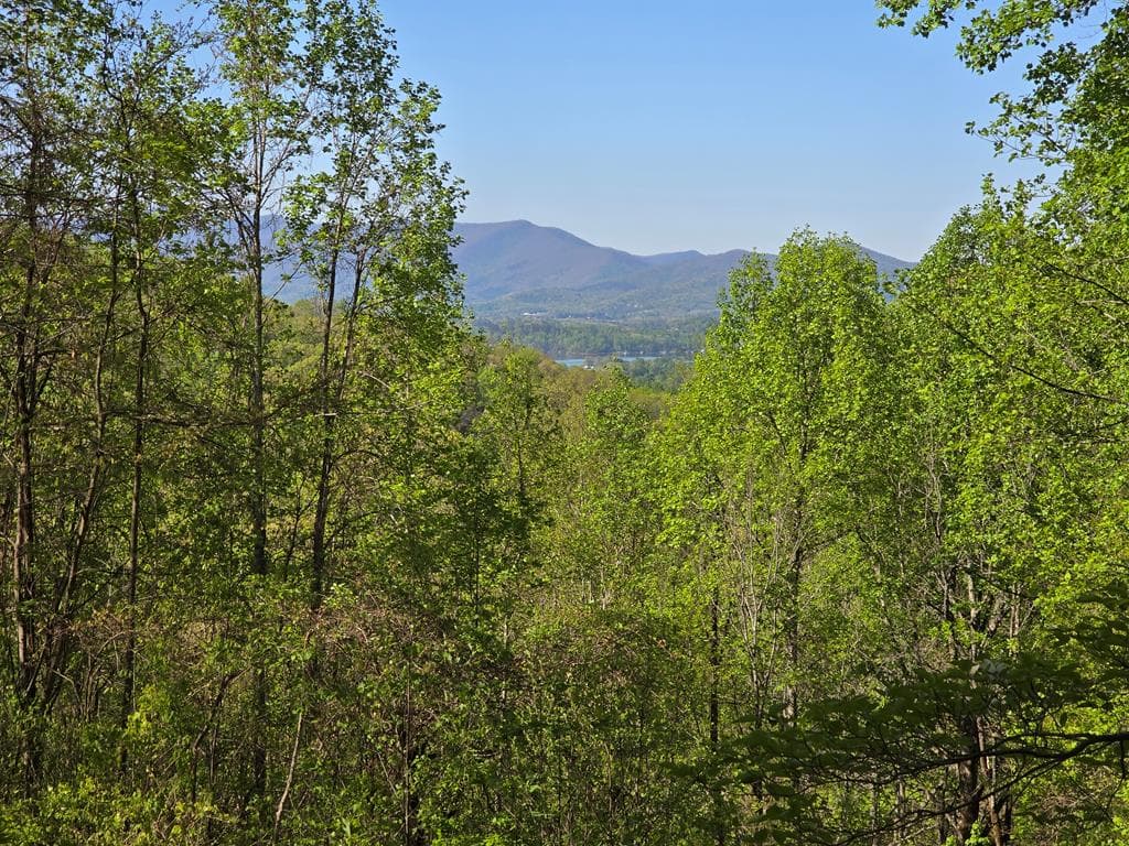 LT 10 High Meadows, Hayesville NC 28904 - Photo