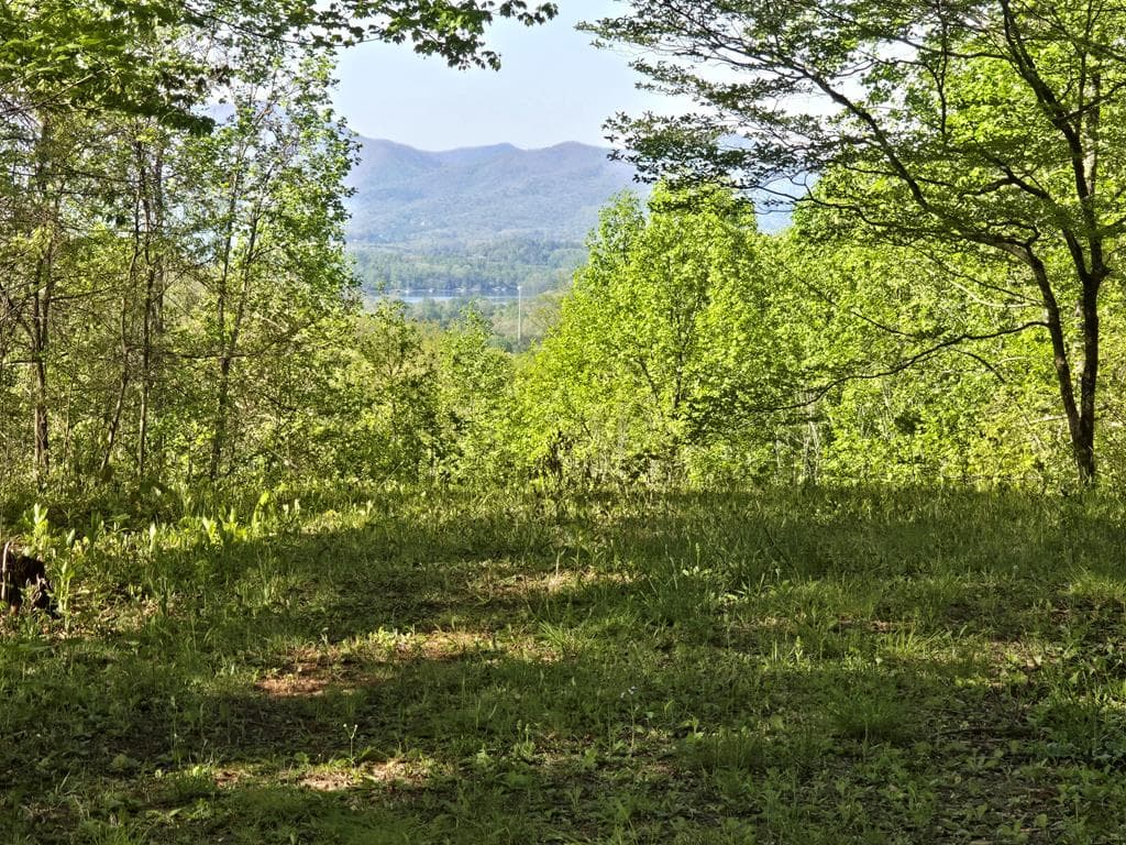 LT 10 High Meadows, Hayesville NC 28904 - Photo