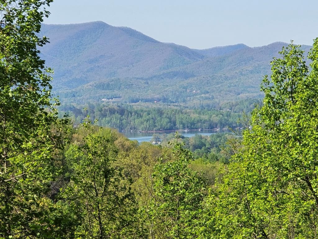 LT 10 High Meadows, Hayesville NC 28904 - Primary photo