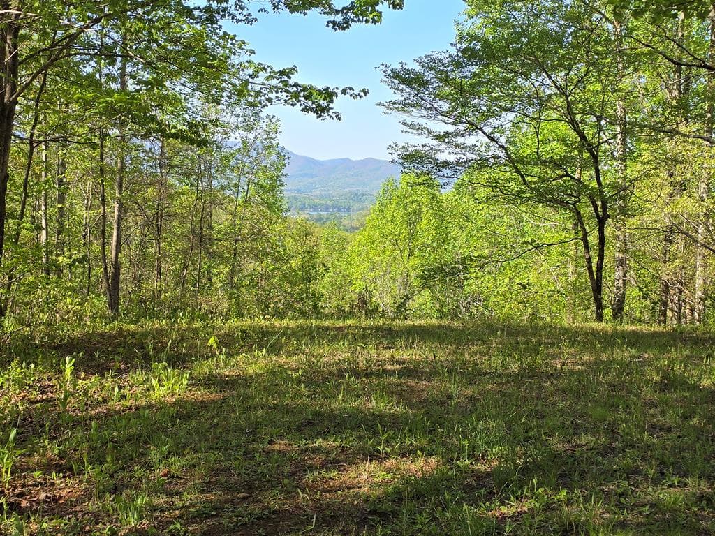 LT 10 High Meadows, Hayesville NC 28904 - Photo