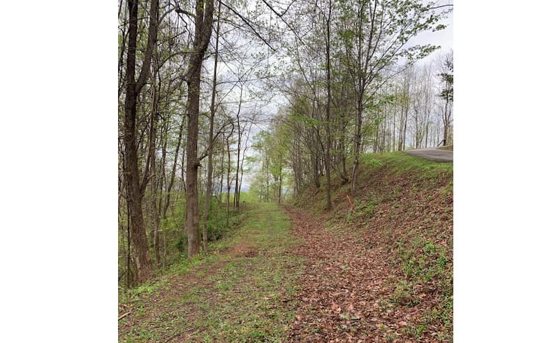 LT 10 High Meadows, Hayesville NC 28904 - Photo