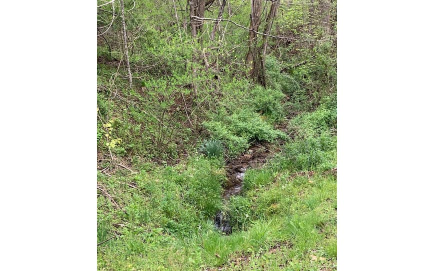 LT 10 High Meadows, Hayesville NC 28904 - Photo