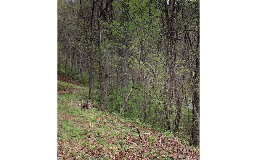 LT 10 High Meadows, Hayesville NC 28904 - Photo