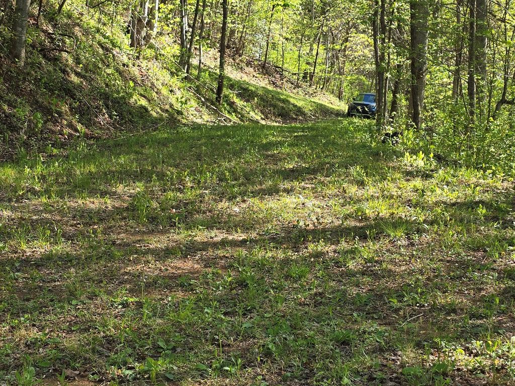 LT 10 High Meadows, Hayesville NC 28904 - Photo