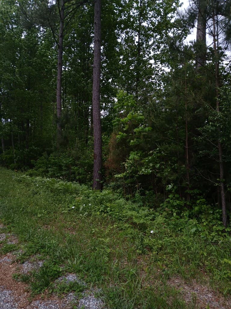 7.52 Ac. Hicks Ford Road, Ellijay GA 30540 - Photo